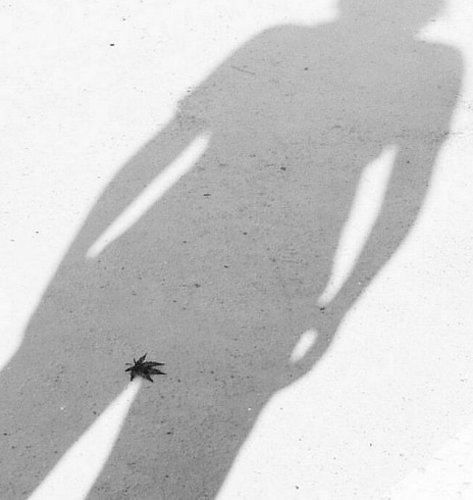 509-interesting-shadow.jpg