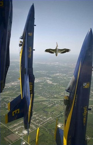 blue_angels.jpg