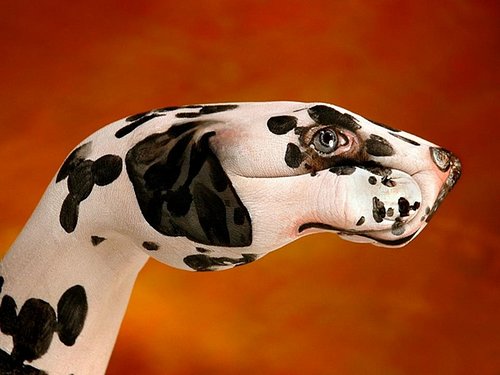 Bodypaint (19).jpg