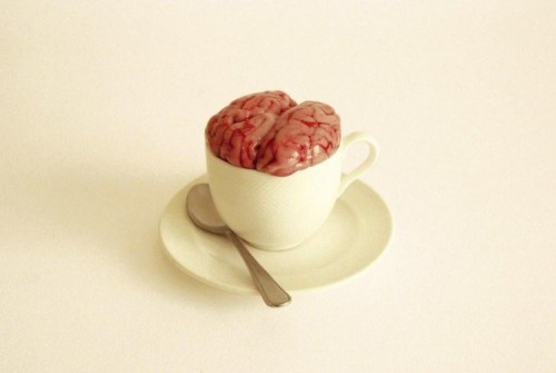 cupofbrain.jpg