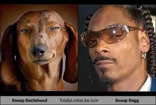 dogg.jpg