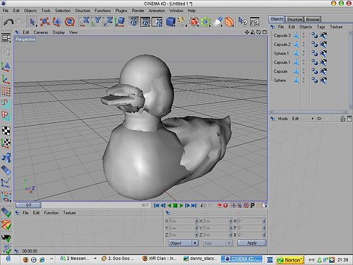 duck.JPG