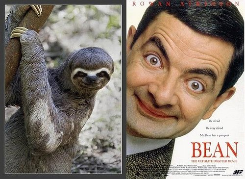 mr_bean.jpg