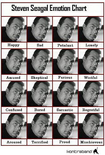 pictures_seagal_emotion_chart.jpg