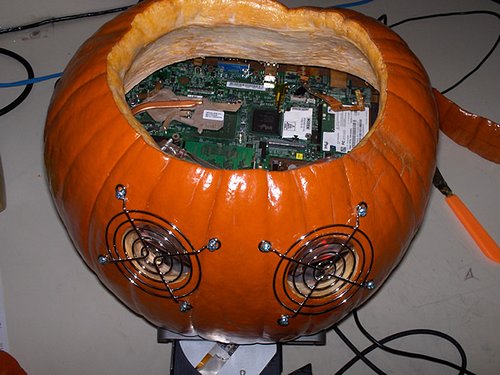 pumpkincase10.jpg