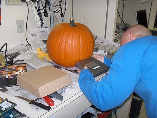 pumpkincase3.jpg