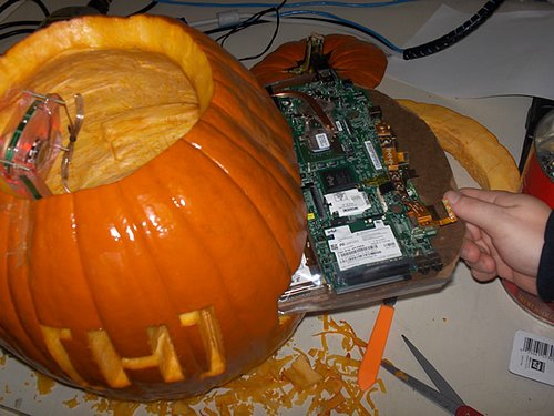 pumpkincase7.jpg