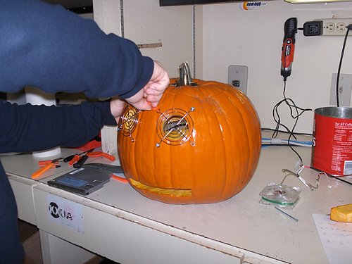 pumpkincase8.jpg